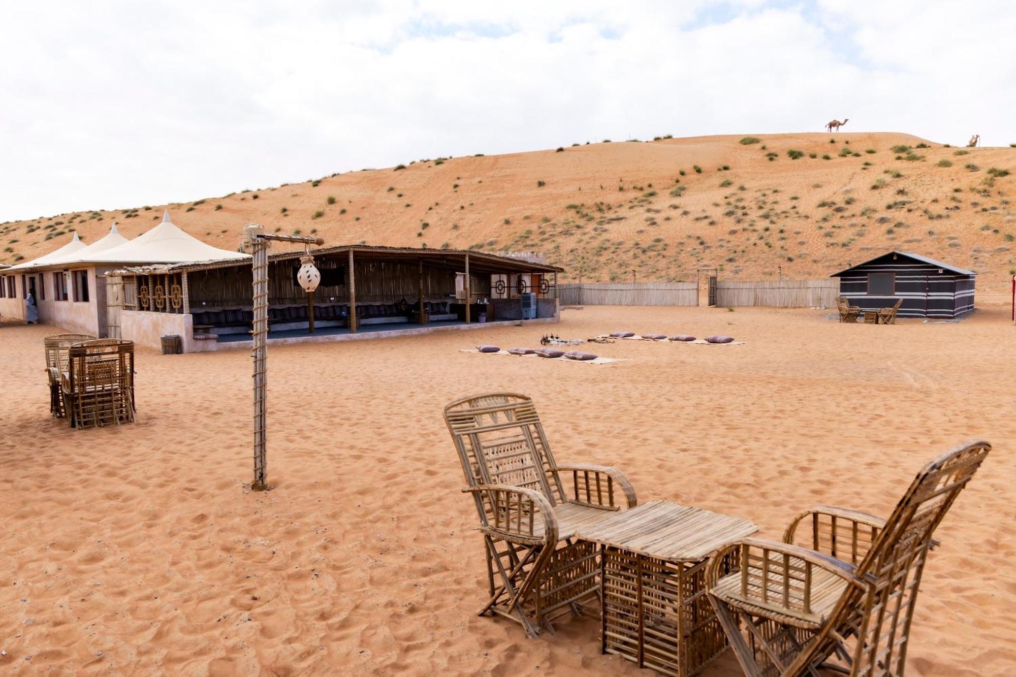 Sand Delight Camp Al Wāşil Exteriér fotografie