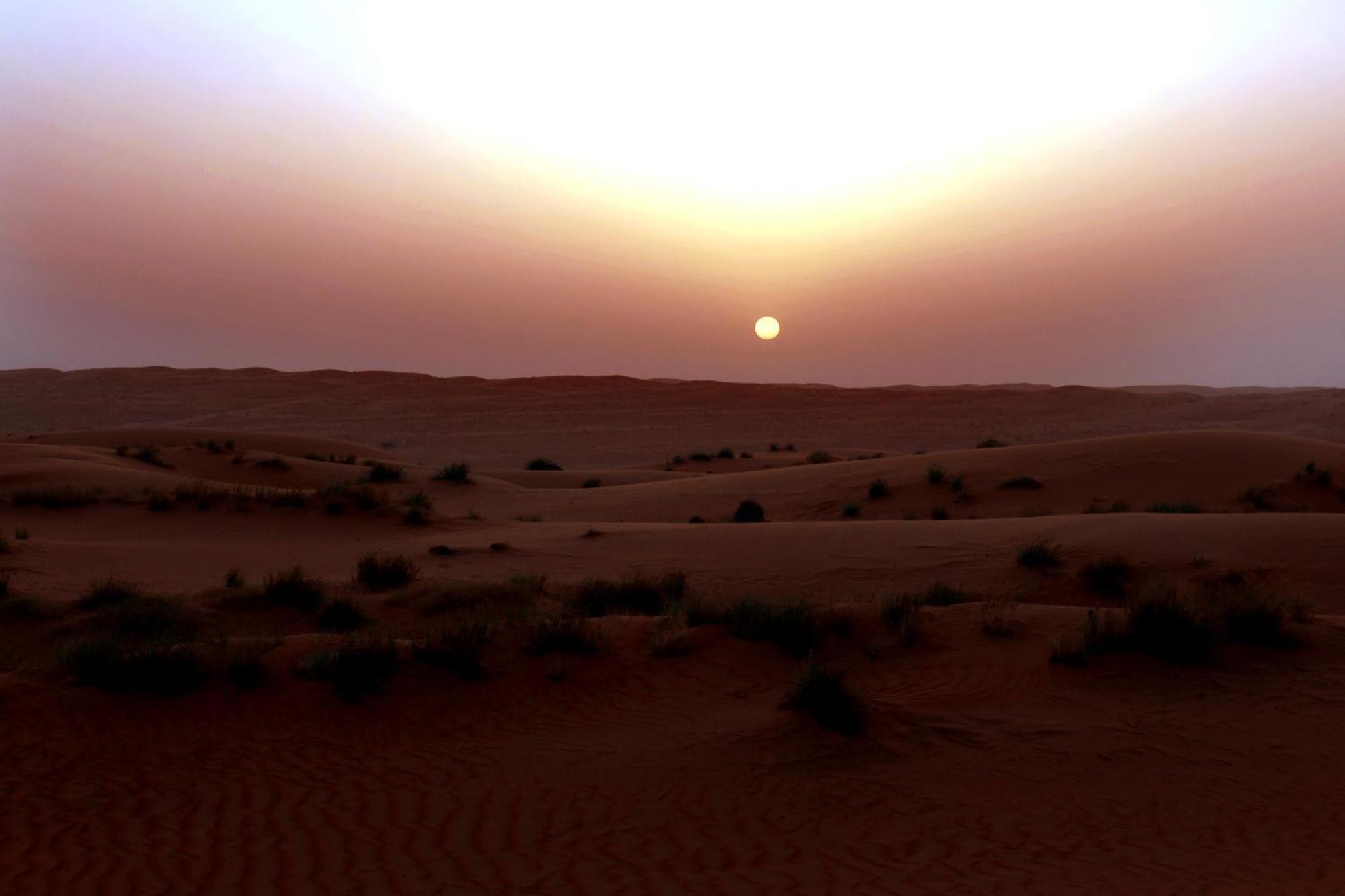 Sand Delight Camp Al Wāşil Exteriér fotografie